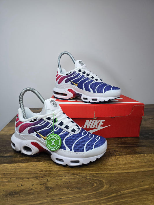Nike TN PSG